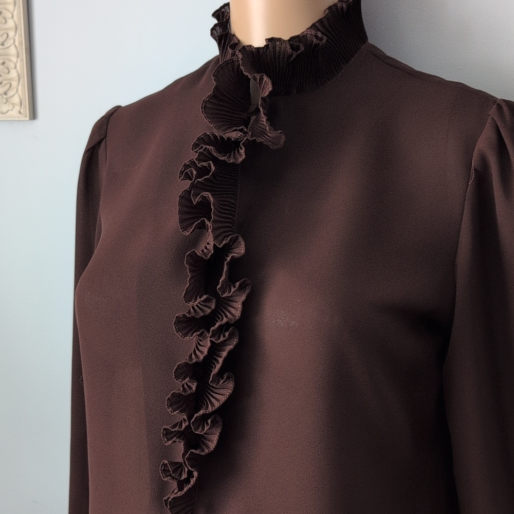 Vintage Whimsigoth Chocolate Brown Pleated Ruffled V-Neck Long Sleeve Blouse - Picture 9 of 16